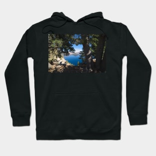 WGC_0683 Hoodie